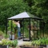 Halls Serre de jardin en verre Noir 6.3m²