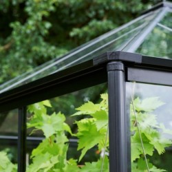 Halls Serre de jardin en verre Noir 6.3m²