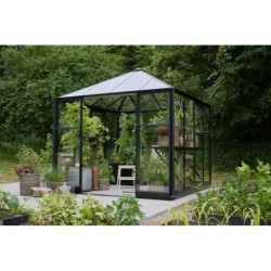 Halls Serre de jardin en verre Noir 6.3m²