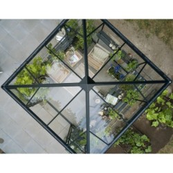 Halls Serre de jardin en verre Noir 6.3m²