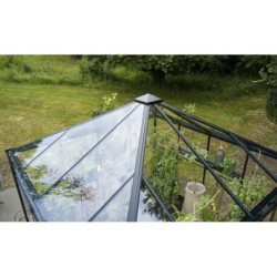 Halls Serre de jardin en verre Noir 6.3m²