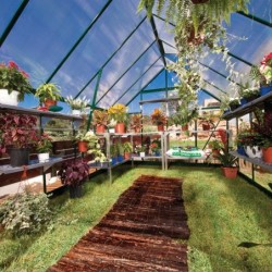 Canopia by Palram Serre de jardin en polycarbonate