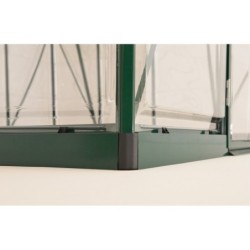 Canopia by Palram Serre de jardin en polycarbonate