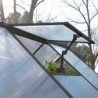 Canopia by Palram Serre de jardin en polycarbonate