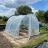 Serres Tonneau Serre tunnel 9m²