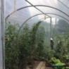 Serres Tonneau Serre tunnel 9m²