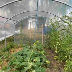 Serres Tonneau Serre tunnel 13.5m²