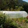Serres Tonneau Serre tunnel 27m²