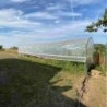 Serres Tonneau Serre tunnel 27m²