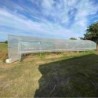 Serres Tonneau Serre tunnel 27m²