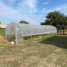 Serres Tonneau Serre tunnel 27m²