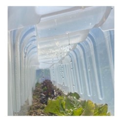 Modul'o Serre tunnel Blanc