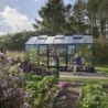 Juliana Serre de jardin en verre Noir 10.9m²