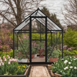 Canopia by Palram Serre de jardin en polycarbonate Noir 4.6m²