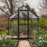 Canopia by Palram Serre de jardin en polycarbonate Noir 4.6m²