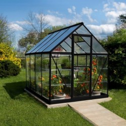 Canopia by Palram Serre de jardin en polycarbonate Noir 4.6m²