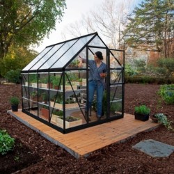 Canopia by Palram Serre de jardin en polycarbonate Noir 4.6m²