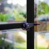 Canopia by Palram Serre de jardin en polycarbonate Noir 4.6m²