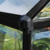 Canopia by Palram Serre de jardin en polycarbonate Noir 4.6m²