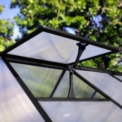 Canopia by Palram Serre de jardin en polycarbonate Noir 4.6m²