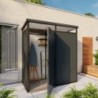 Everbox Abri de jardin résine PVC (polychlorure de vinyle) + XPS (polystyrène extrudé) Anthracite 2,13m²