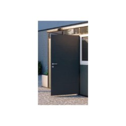 Everbox Abri de jardin résine PVC Gris 1m²