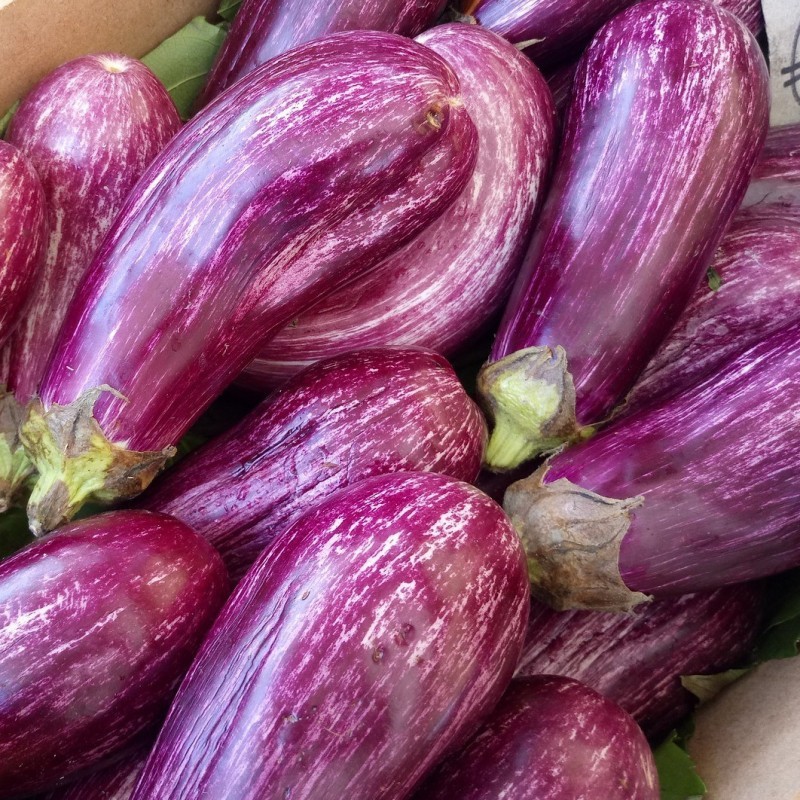 Aubergine Aubergine