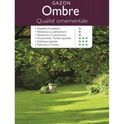 Gazon en semences
