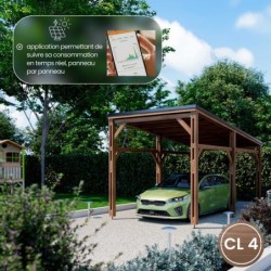 Cerland Carport Bois massif Marron 15.50m²
