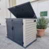 Duramax Abri de jardin résine PVC Gris