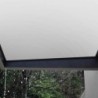 Canopia by Palram Marquise auvent Aluminium Blanc 2.04m²