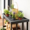 Westmann Accessoires abris Bois massif Gris