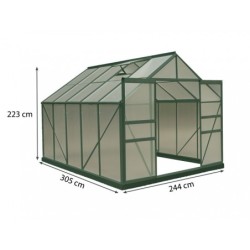 Habrita Serre de jardin en polycarbonate Vert