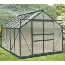 Habrita Serre de jardin en polycarbonate Vert