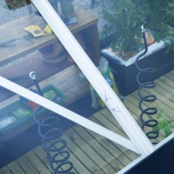 Juliana Serre de jardin en polycarbonate Gris 21.4m²