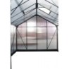 Green Protect Serre de jardin en polycarbonate Vert 9.13m²
