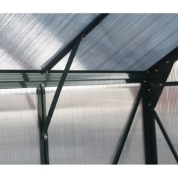 Green Protect Serre de jardin en polycarbonate Vert 13.2m²
