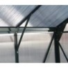 Green Protect Serre de jardin en polycarbonate Vert 13.2m²