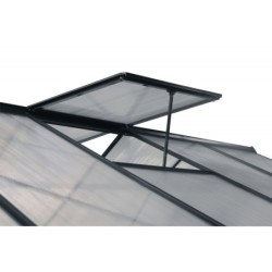 Green Protect Serre de jardin en polycarbonate Gris 9.13m²