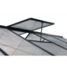 Green Protect Serre de jardin en polycarbonate Gris 9.13m²