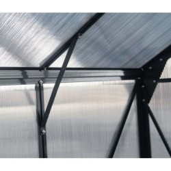 Green Protect Serre de jardin en polycarbonate Gris 16.9m²