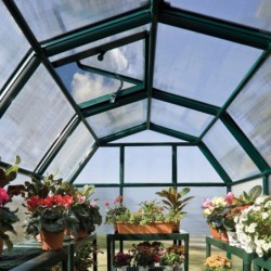 Canopia by Palram Serre de jardin en polycarbonate Vert 9.15m²