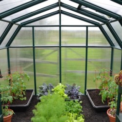 Canopia by Palram Serre de jardin en polycarbonate Vert 7.07m²