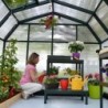 Canopia by Palram Serre de jardin en polycarbonate Vert 7.07m²