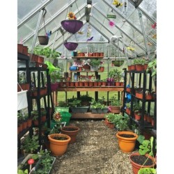 Canopia by Palram Serre de jardin en polycarbonate Gris 8.9m²