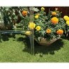 Canopia by Palram Serre de jardin en polycarbonate Gris 8.9m²