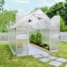 Canopia by Palram Serre de jardin en polycarbonate  Gris 8.9m²