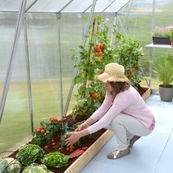 Canopia by Palram Serre de jardin en polycarbonate  Gris 8.9m²