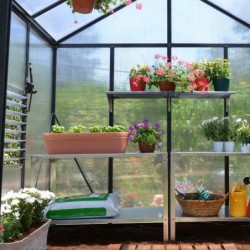 Canopia by Palram Serre de jardin en polycarbonate Gris 5.9m²