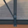 Canopia by Palram Serre de jardin en polycarbonate Gris 5.9m²